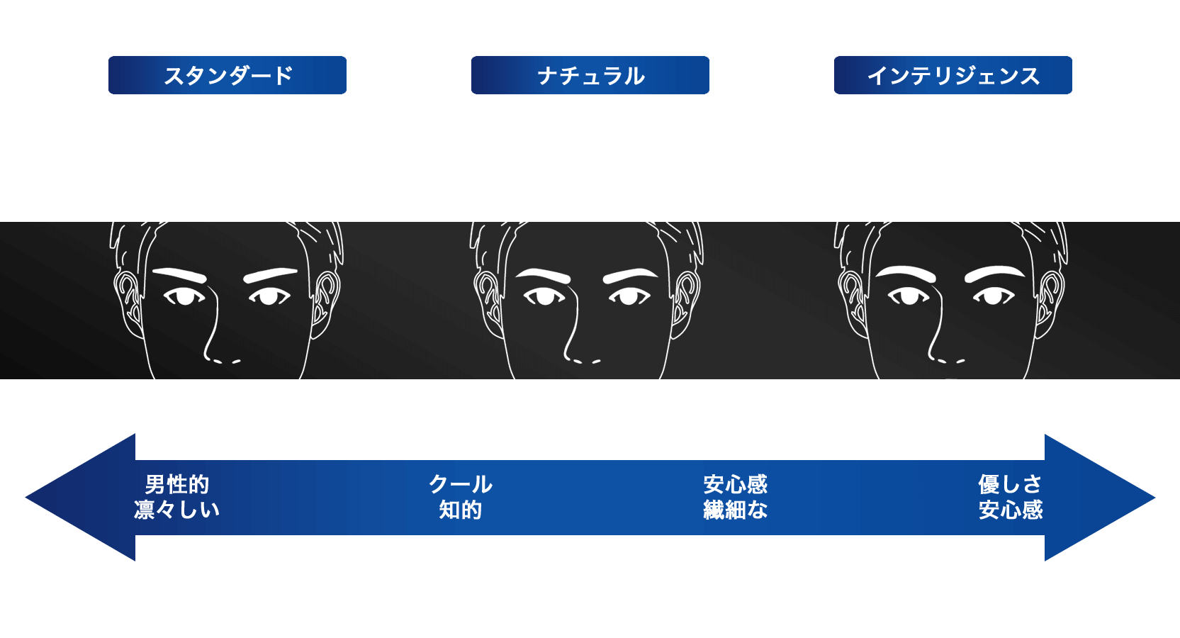 男性眉の黄金比